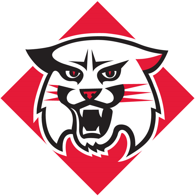 Davidson Wildcats 2010-Pres Primary Logo iron on transfers for clothing